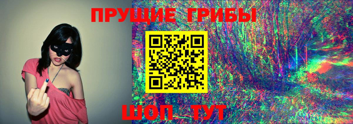 Вологда  Галлюциногенные грибы ЛСД  Вход с VPN 